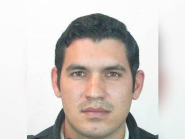 Fuerzas federales desplegaron un operativo en Michoacán, donde habría sido abatido Luis Enrique Barragán Chávez, líder criminal de la zona.