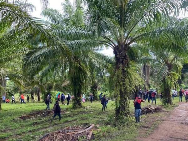 Los sicarios llegaron hasta una finca de Trujillo, Colón y acabaron con la vida de varias personas.
