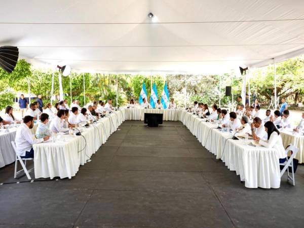 Muchos de los secretarios de Estado no solo ganan por encima de L100,000, sino que actúan más como activistas políticos que como servidores públicos, coincidieron analistas.