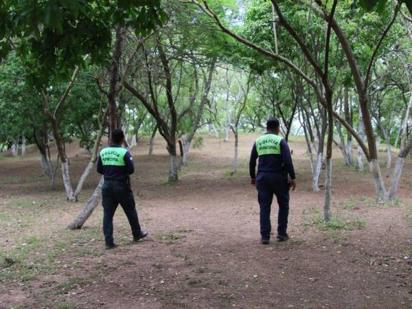 La Gerencia del Centro Histórico informó que alrededor de 11 espacios públicos fueron recuperados en el centro y alrededores de la ciudad. Uno de ellos el el Cerro de la Felicidad.