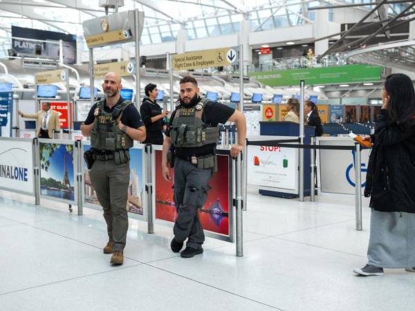 El zar de la frontera de la Casa Blanca, Tom Homan, dijo este lunes que se enviarán oficiales del ICE a catorce aeropuertos estadounidenses. Conozca aquí mayores detalles.