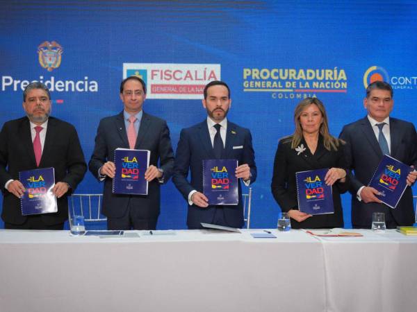 El libro consta de 135 páginas y documenta 82 casos agrupados en expedientes relacionados con presuntas irregularidades en entidades.