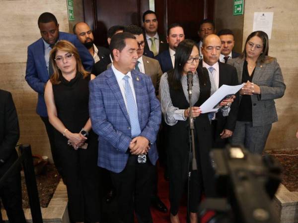 Luego de las audiencias públicas de los aspirantes al CNE, se espera que esta semana se entregue la primera nomina.
