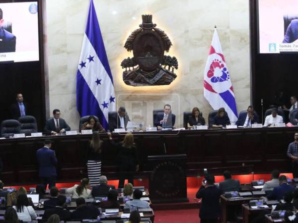 Los congresistas cuestionaron que gestiones pasadas recurrieran a la contratación directa de energía a base de diésel.