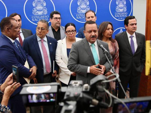 La Comisión de Energía lleva varias reuniones de trabajo con distintos sectores. En el Congreso hay diferentes posturas sobre las medidas para recuperar la ENEE.