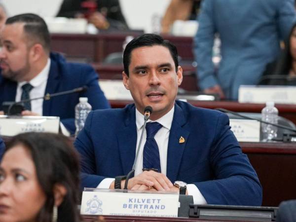 El nacionalista Bertrand presentó durante su disertación la información de los elevados aumentos al presupuesto.