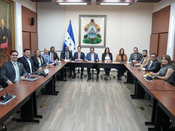 Los integrantes de la Comisión Especial de Selección serán los encargados de hacer los filtros para llevar los mejores candidatos al CNE y TJE al pleno del Congreso Nacional.