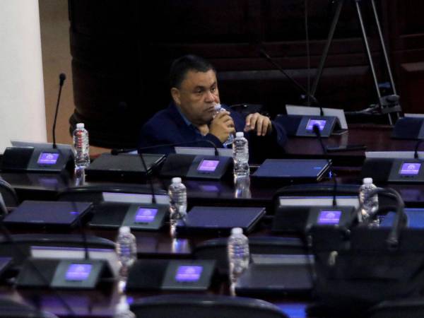 El diputado por el departamento de Cortés Carlos Alberto Umaña David, es quién presentó el proyecto de ley.
