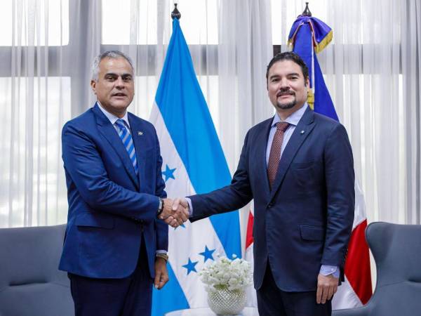El embajador dominicano Luis García Mercado y el canciller Javier Bu tras concluir la reunión.