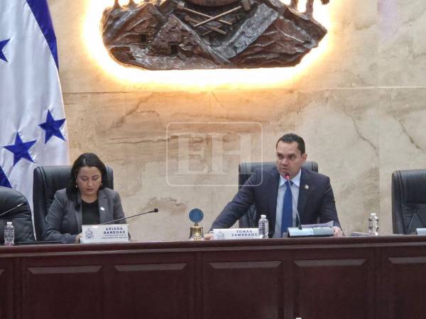 Congreso Nacional priorizará reformas electorales antes de elegir autoridades del CNE y TJE, un proceso que demorará al menos dos semanas más.