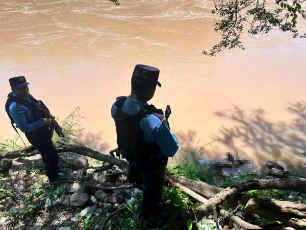 El cuerpo estaba detenido con las raíces de un árbol