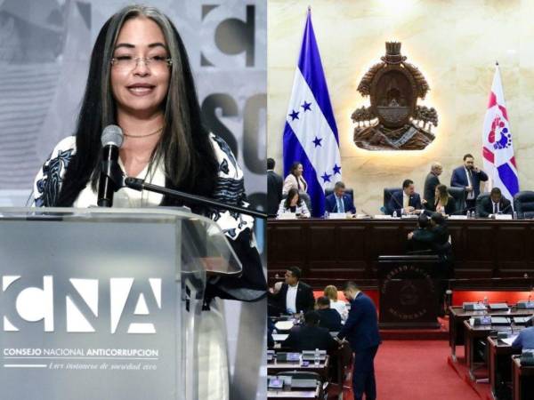 “Tenemos un nuevo Congreso, pero empezamos a observar prácticas que nos recuerdan al pasado”, manifestó la titular del CNA.