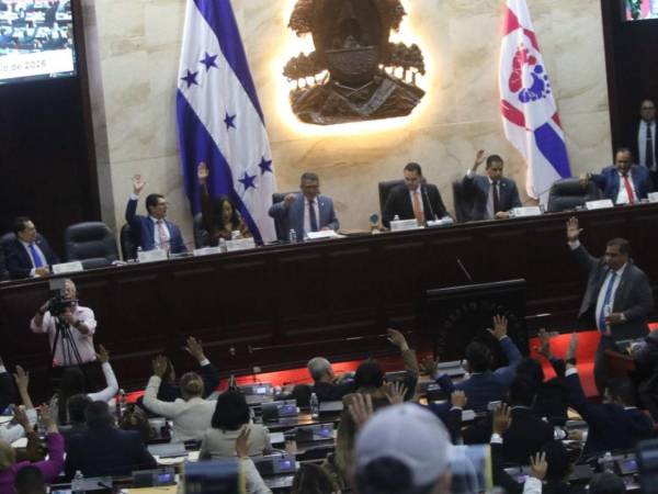 ​El debate subió de tono al abordar la purga estatal que provocará la ley en el engranaje de la administración pública del país.
