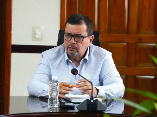 El nuevo titular de la Secretaría de Agricultura y Ganadería (SAG), Moisés Molina.