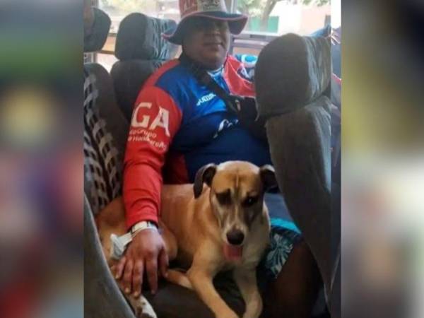 La afición del Club Olimpia Deportivo está de luto tras confirmarse la muerte de “Kalimán”, un perro que se ganó el cariño de seguidores del fútbol hondureño por acompañar fielmente a su dueño a los estadios dentro y fuera del país.