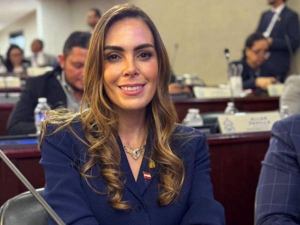 Alia Kafati, diputada del Partido Liberal, adelantó que no votará por la reforma energética.