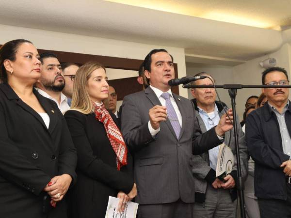 Sectores de Salud y una comisión especial del Congreso Nacional se reunieron para proponer soluciones para la crisis sanitaria.