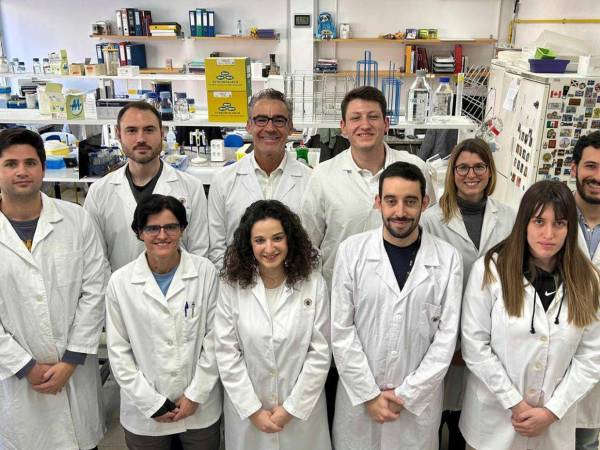 Una investigación liderada por científicos de la Universidad Complutense de Madrid (UCM) ha confirmado que el gen npmA2, generador de bacterias resistentes a los antibióticos, ya está ampliamente diseminado en humanos, animales.