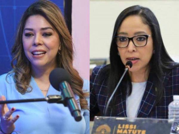 Las duras reacciones se registraron luego de que Zelaya anunciara ante los medios de comunicación que se iniciará un proceso de investigación contra una consejera propietaria del Consejo Nacional Electoral (CNE) y el jefe de bancada de un partido político.