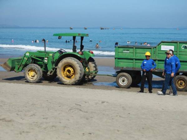 El programa pretende limpiar más de 155 kilómetros de playa durante los próximos dos meses.