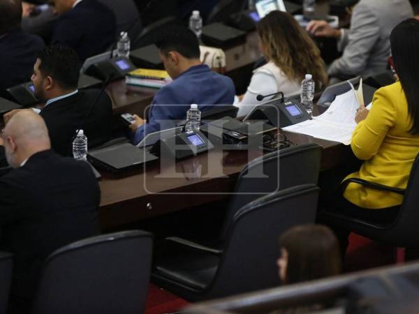 En la sesión se dio lectura a varios proyectos de decreto presentados por diputados de distintas bancadas.