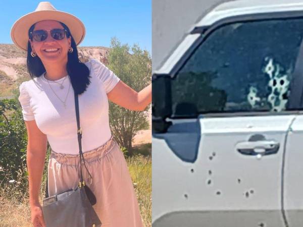 La Policía Nacional ha revelado más detalles sobre el asesinato de la ingeniera civil Lilian Elizabeth Padilla Martínez, fémina que perdió la vida de manera violenta en una colonia de San Pedro Sula, Cortés, al norte del país.