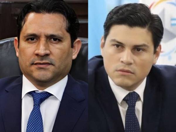 El magistrado del TJE, Mario Morazán, y el consejero del CNE, Marlon Ochoa, se quedaron sin visa.