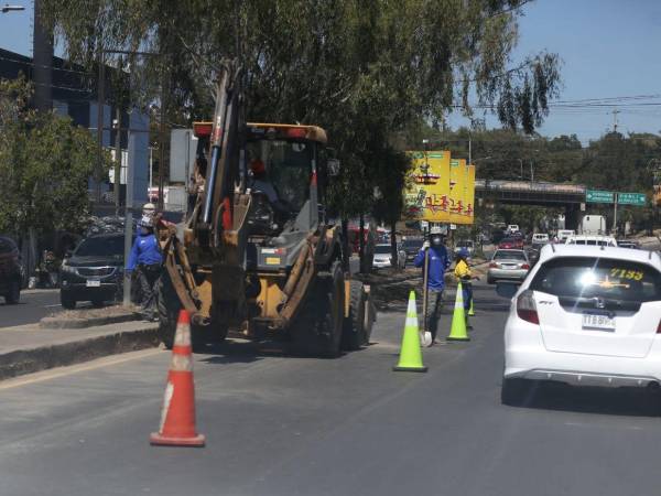 Las acciones contemplan limpieza de medianas, retiro de desechos y estudios viales para optimizar la circulación vehicular.