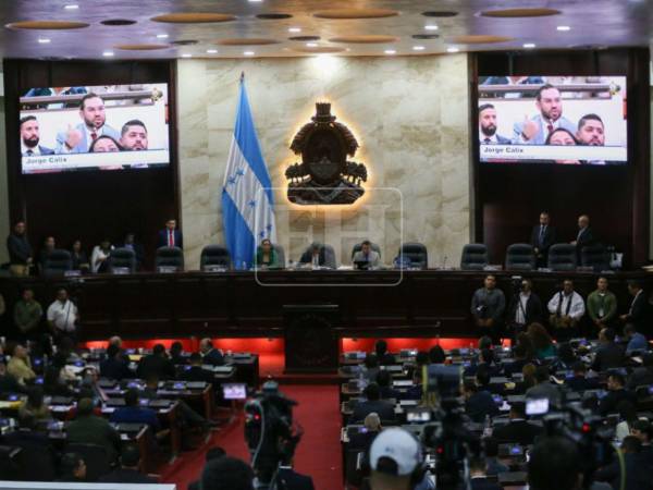 Este viernes se eligen a los demás integrantes de la Junta Directiva del Congreso Nacional.