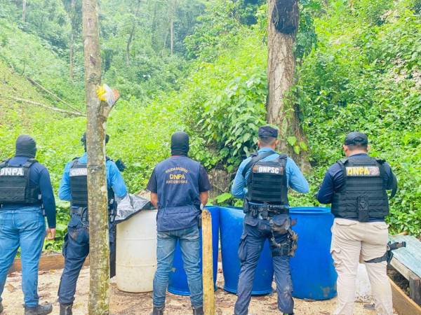 Dirección Nacional Policial Antidrogas (DNPA) en coordinación con la Dirección Nacional de Servicios Policiales Fronterizos (DNSPF) participaron en el operativo.