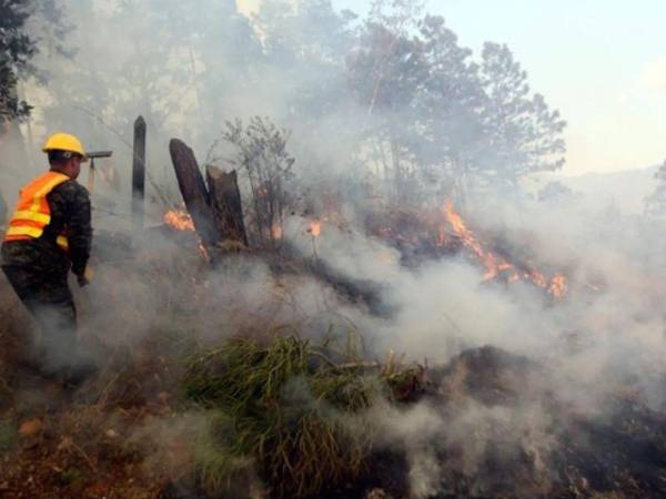 El año 2025 cerró con cifras alarmantes: 1,079 incendios y 48,636 hectáreas afectadas a nivel nacional, lo que marcó uno de los periodos más críticos en materia forestal.
