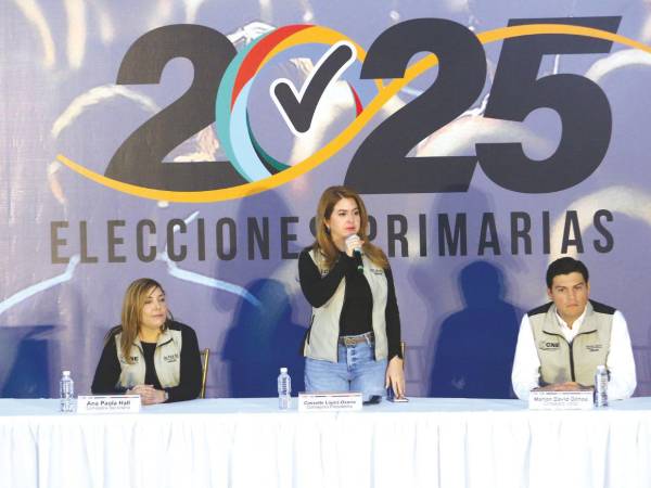 El pleno de consejeros del CNE aún no ha definido cuándo sostendrán una nueva sesión y si la polémica propuesta de Marlon Ochoa se discutirá y votará.