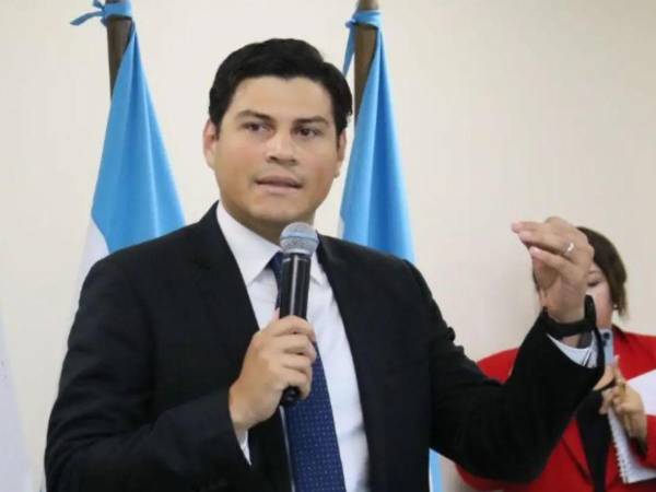 Marlon Ochoa, consejero del Consejo Nacional Electoral (CNE).