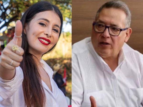 Iroshka Elvir entró en un fuerte cruce con Ricardo Salgado, ministro de Planificación Estretégica.