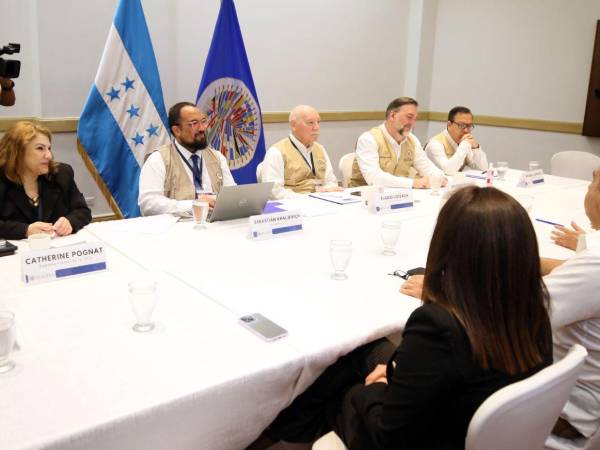 La Misión de Observadores Electorales (MOE) de la Organización de Estados Americanos (OEA), llegó el 27 de julio del presente año, para iniciar las labores de observación.