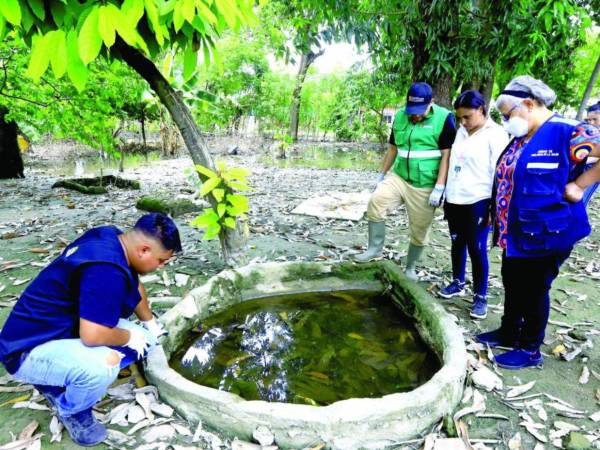Con las lluvias, varios recipientes acumulan agua, por lo que es necesario taparlos o limpiarlos.