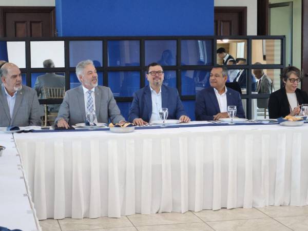 Autoridades de Honduras y Brasil se reunieron para fortalecer la cooperación entre ambas naciones en el sector agrícola.