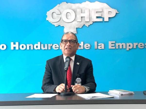 Las declaraciones se producen en medio de las protestas del gremio médico por sus demandas laborales.
