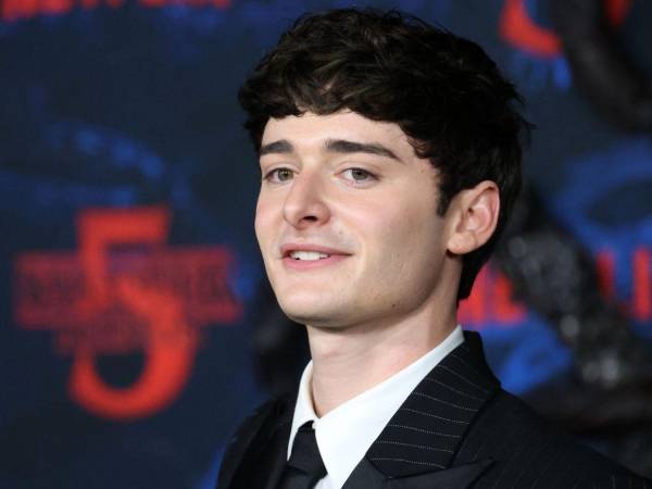 El actor estadounidense Noah Schnapp, conocido por su papel de Will Byers en Stranger Things, volvió a acaparar la atención de sus seguidores, esta vez por una noticia relacionada con su vida sentimental.