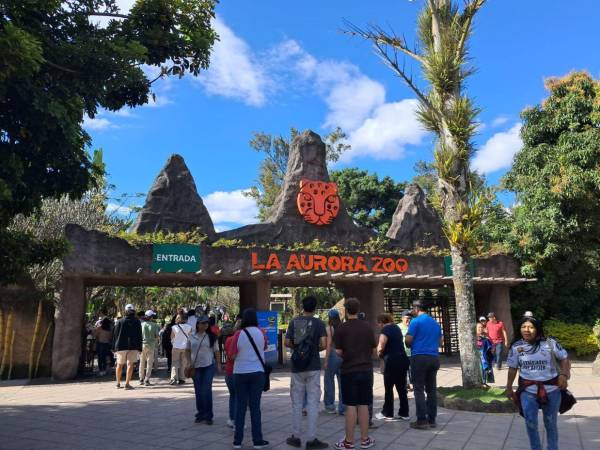 El zoológico La Aurora promete una experiencia educativa y transformadora. Se encuentra en el centro de la Ciudad de Guatemala.