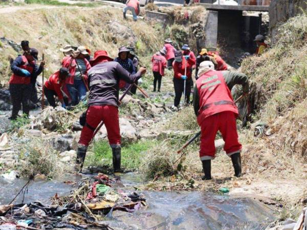 Zonas como la quinta y séptima avenida de Comayagüela se han vuelto intransitables para los ciudadanos, debido a las enormes montañas de basura que se acumulan en la zona y los malos olores que desprenden.