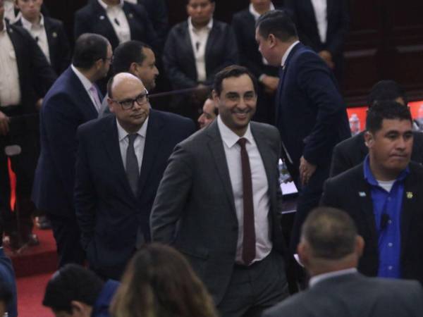 Autoridades de la ENEE, CREE y la Secretaría de Finanzas participaron en la sesión legislativa en la que se leyó el dictamen de las reformas eléctrica y que fue rechazado por la bancada de Libre.