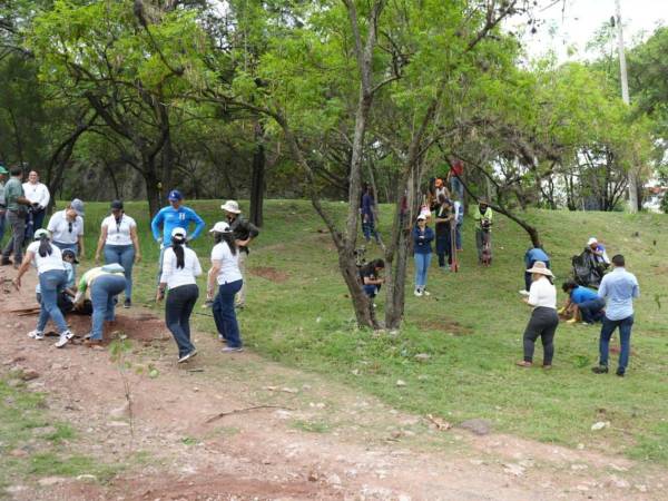 Con el plan de reforestación, la AMDC busca heredar un entorno ordenado con espacios sanos para la convivencia ciudadana.