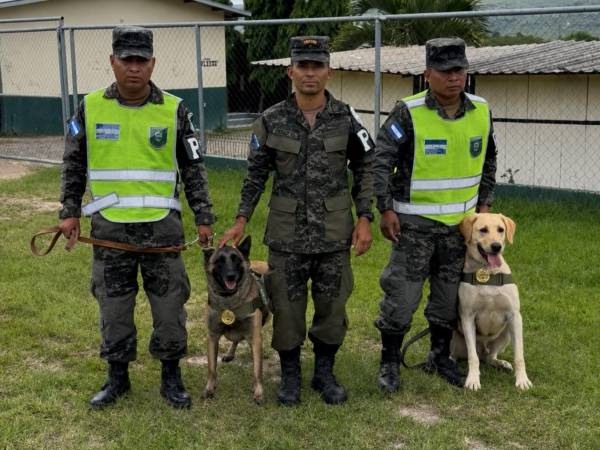 Mago y Togo, binomios caninos de la unidad K-9. Los equipos especializados desempeñan un rol fundamental en las operaciones de seguridad nacional