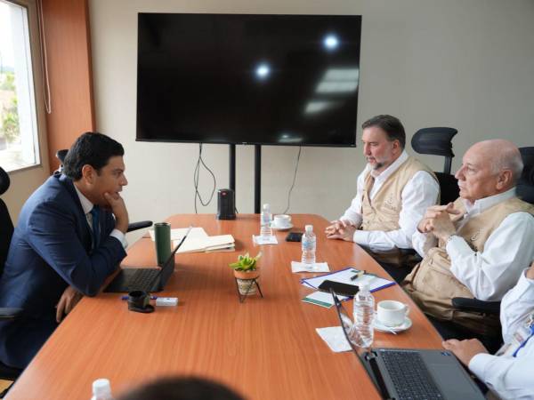 El consejero, Marlon Ochoa, entregó documentos a la misión de la OEA.