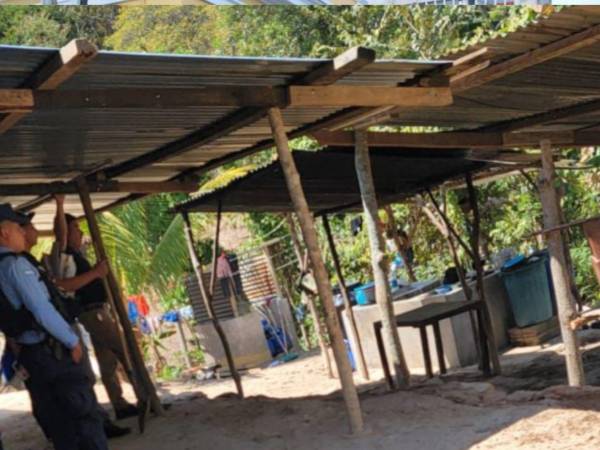 Una llamada anónima alertó a los agentes de la Policía Nacional, quienes llegaron hasta el sector.