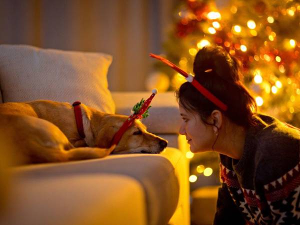 La mejor parte de estas fiestas es poder vivirlas junto a quienes más queremos, incluidas nuestras mascotas.
