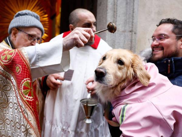 Miles de personas acudieron este 17 de enero a iglesias y plazas de toda España para participar en la tradicional bendición de mascotas con motivo del día de San Antón, patrón de los animales.