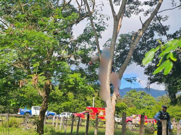 Durante el proceso de rescate, las autoridades verificaron que la víctima ya no presentaba signos vitales. Posteriormente, retiraron el cadáver del árbol donde había quedado atrapado.