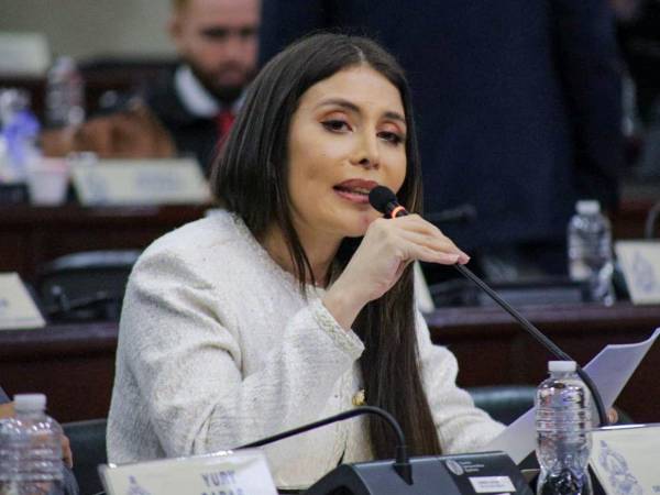 La diputada liberal Iroshka Elvir quiere eliminar los impuestos a los combustibles.